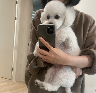 토실이짜ㅇ님의 공간에 오신 것을 환영합니다.