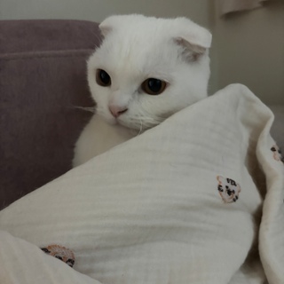 솔송송vv님의 공간에 오신 것을 환영합니다.