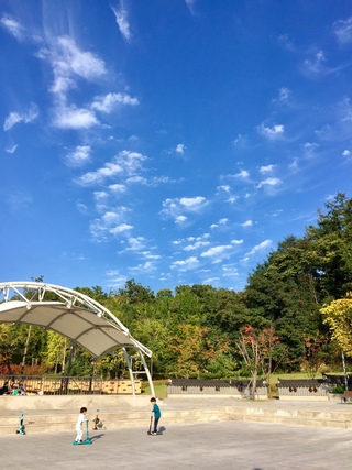 충북새내기님의 공간에 오신 것을 환영합니다.