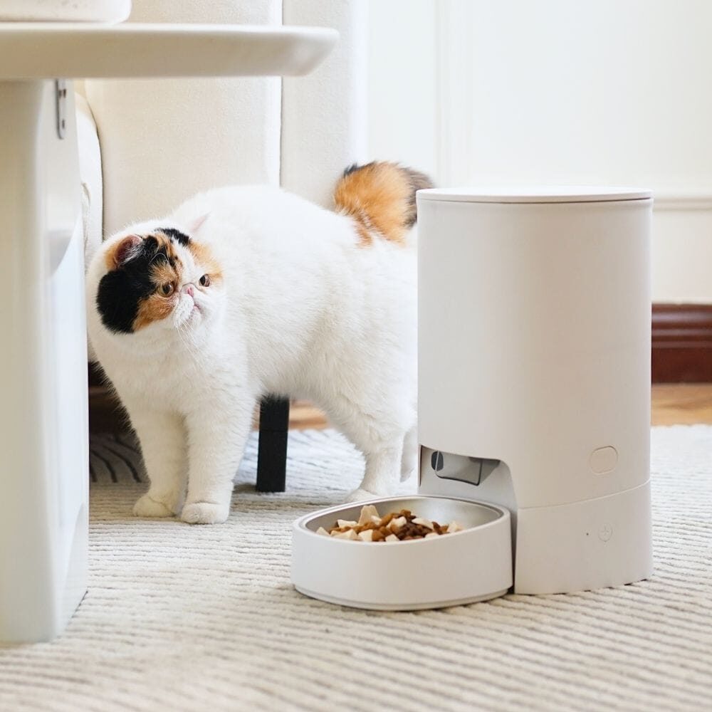 디클펫 자동급식기 100PF