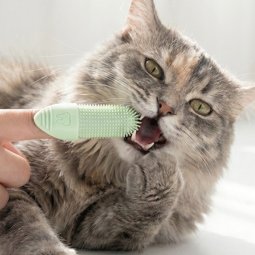 행복한댕냥이 강아지 고양이 실리콘 손가락칫솔