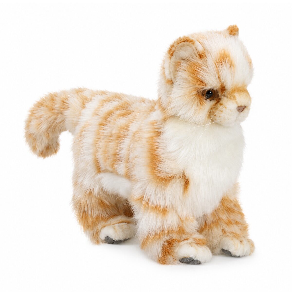 6498 아기고양이 동물인형/20cm.L