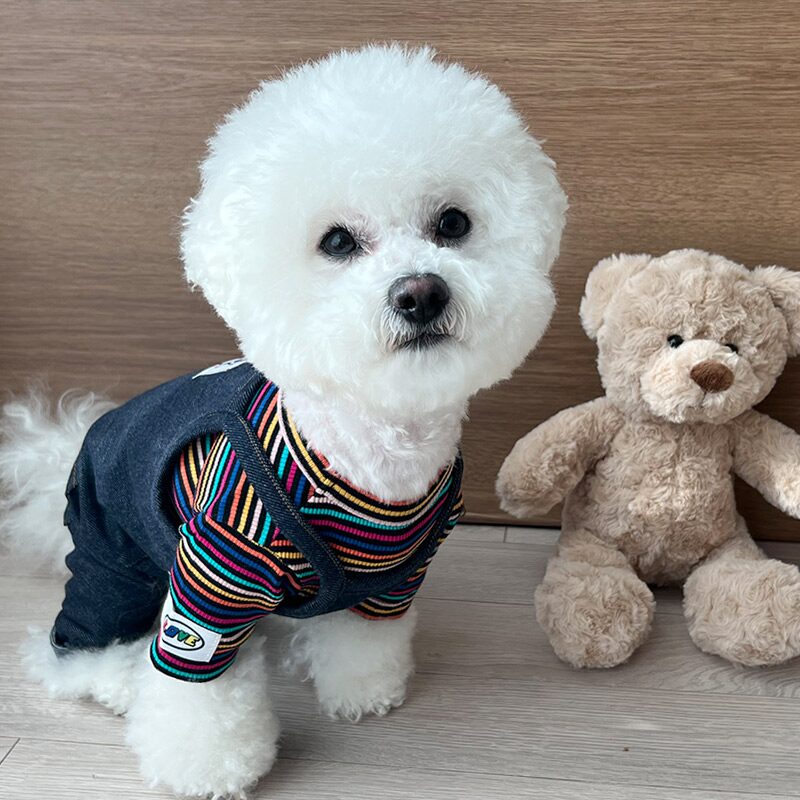 강아지 올인원 멜빵 바지 쫀쫀 데님 오버롤 팬츠 봄 가을 옷