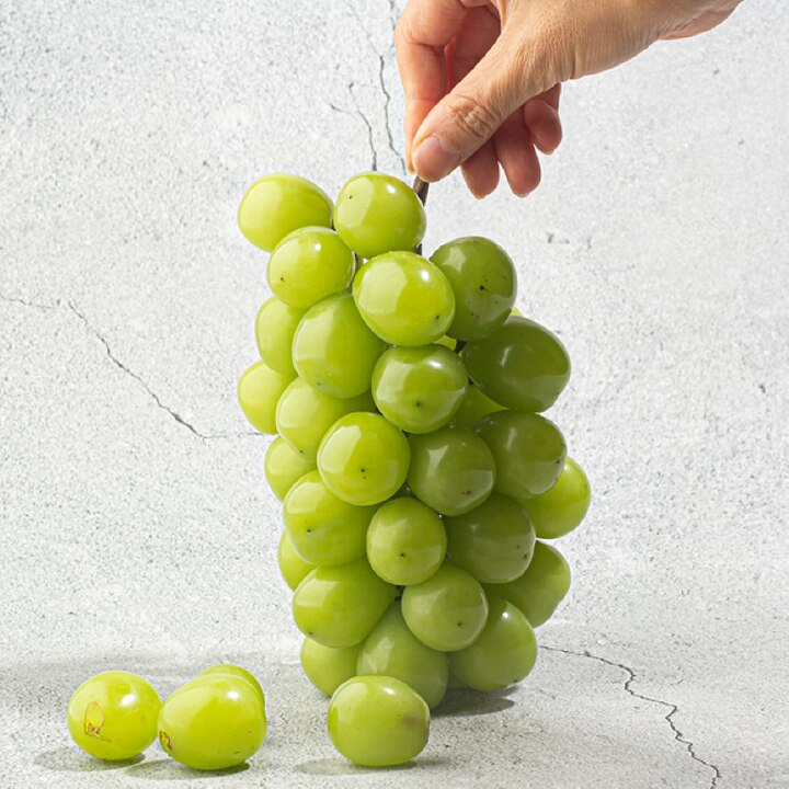 [오늘의집] 산해직송 [시즌오픈] 특품 김천 샤인머스켓 2kg x 총 4수 / 국내산 프리미엄 씨없는 청포도