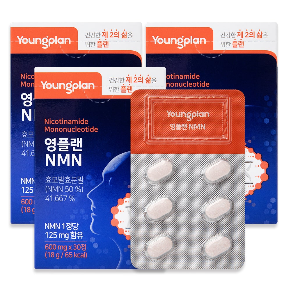 영플랜 NMN 30정 3박스