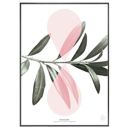 Botanical Garden 3 포스터 액자