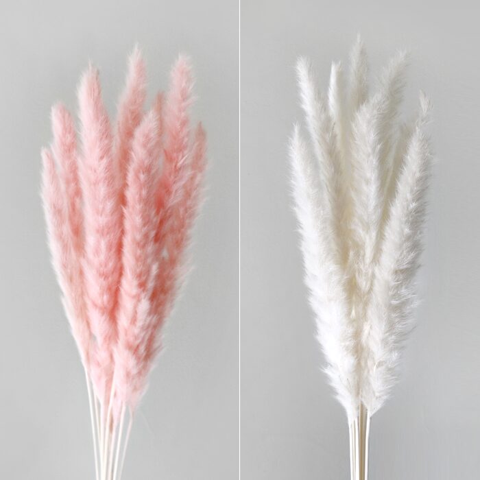 팜파스 프리저브드 한묶음(60CM)
