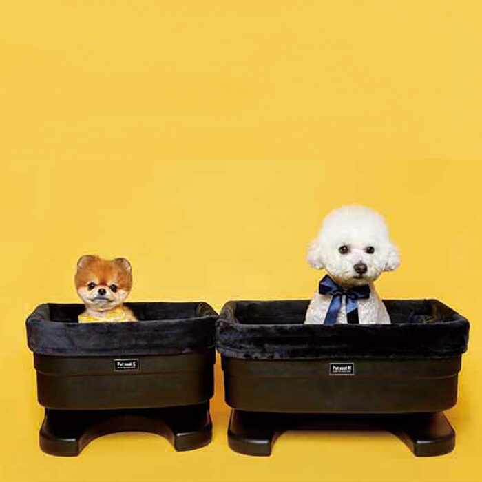 펫시트 S 소형견 하드 카시트