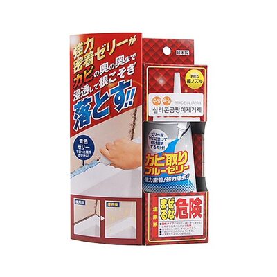실리콘 곰팡이 제거제