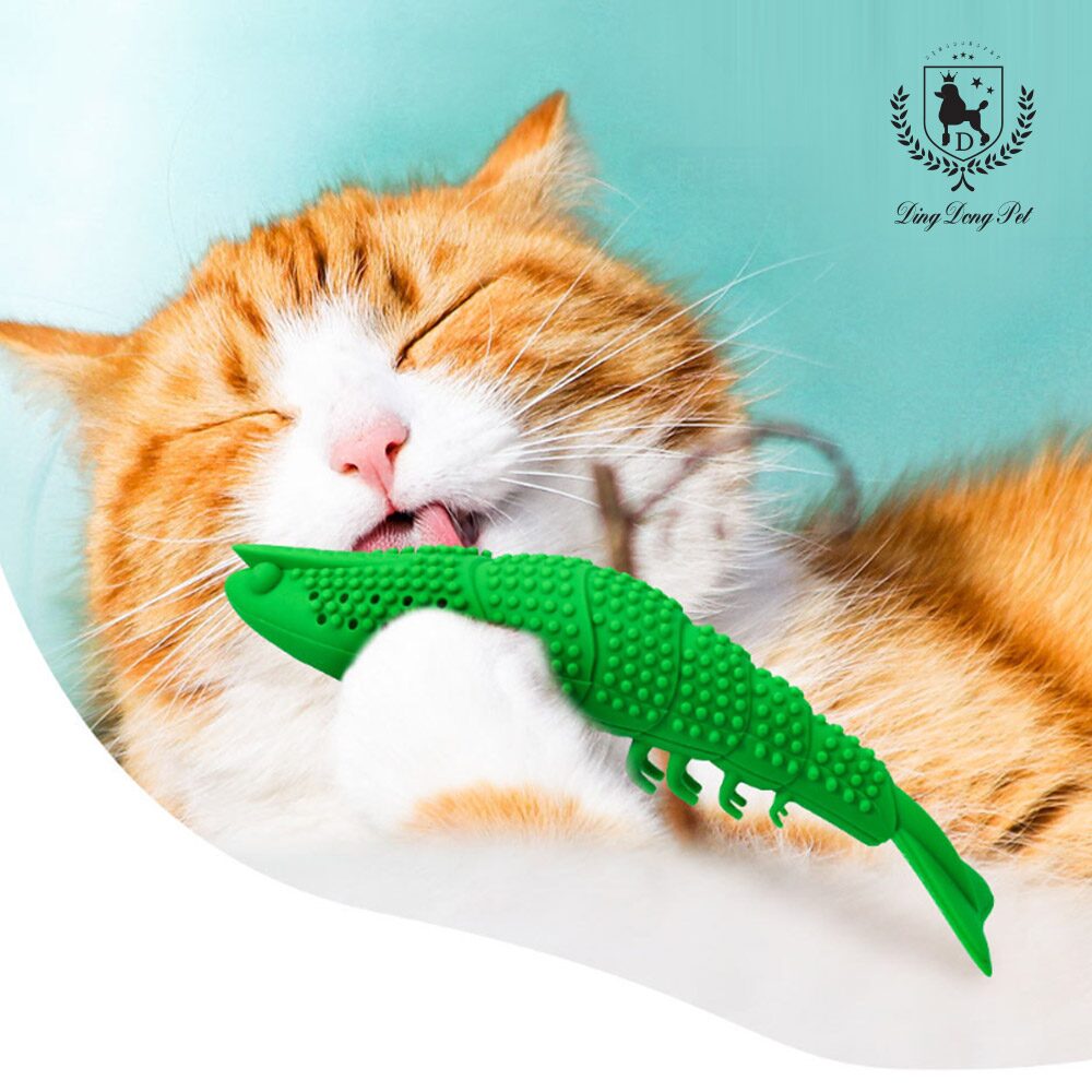 반려동물 고양이 셀프새우 칫솔 4colors
