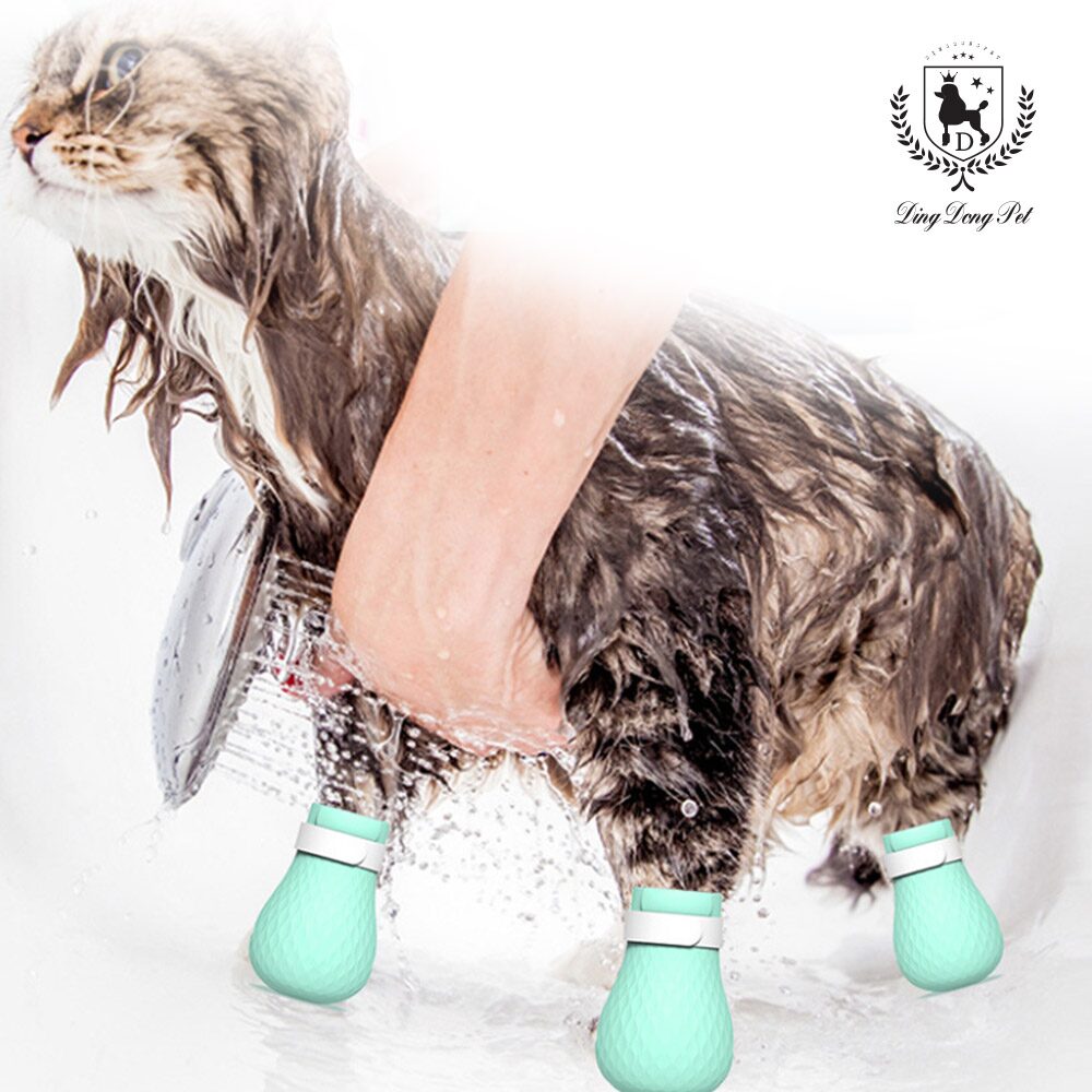 고양이 샤워슈즈