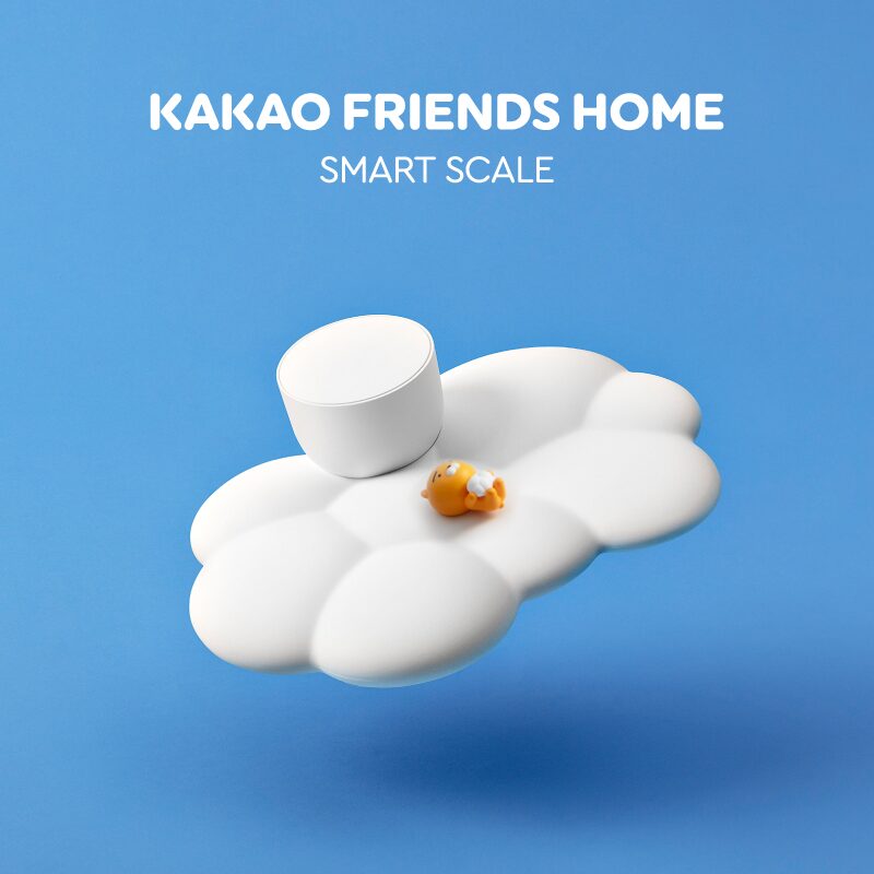 HOME 스마트 체중계