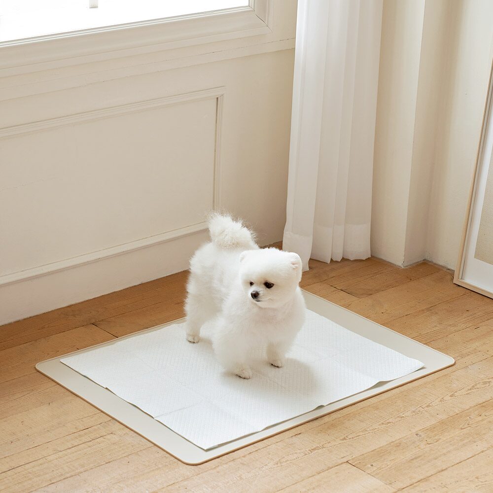 신규컬러추가! 강아지 고양이 논슬립 엣지 실리콘 매트 2size