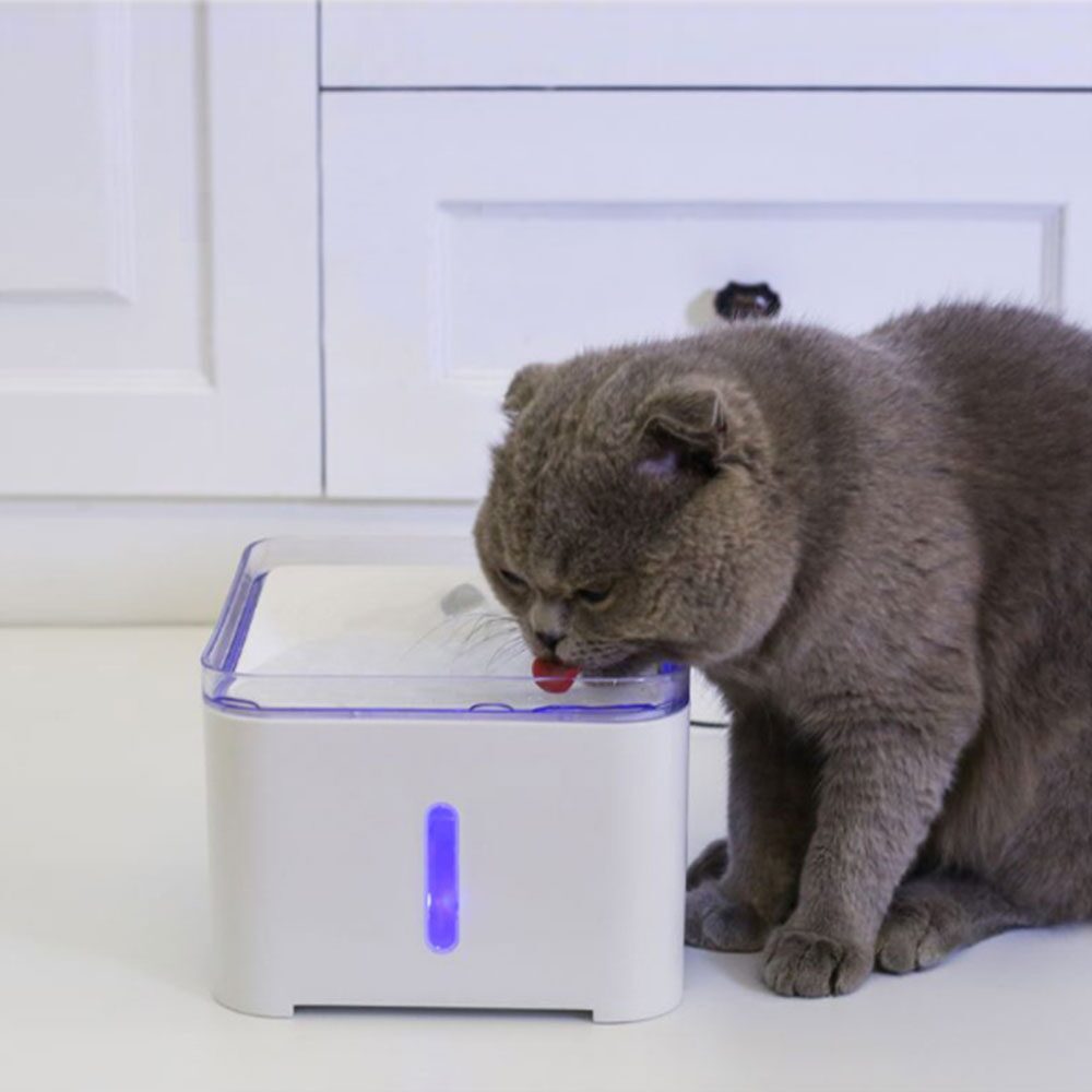 고양이 강아지 자동 급수기 물그릇 사각정수기 2.0L