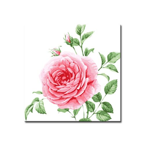 (3+1) DIY 명화그리기 감성 (25x25cm) E54_핑크로즈