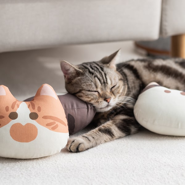 고양이 애착인형 장난감 캣츠패밀리 캣닢쿠션 17종