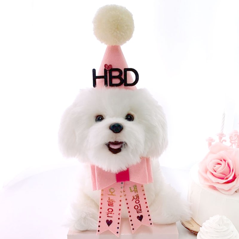 고깔(HBD)+리본화환 강아지 고양이 생일파티세트