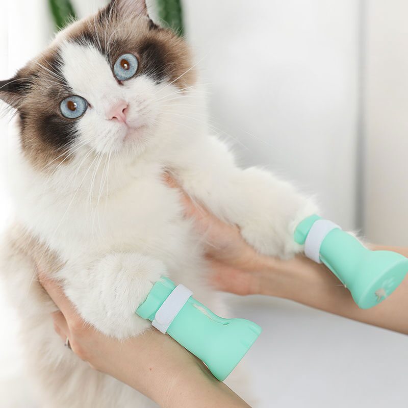 고양이 할큄방지부츠 (발톱깎기/목욕용품)