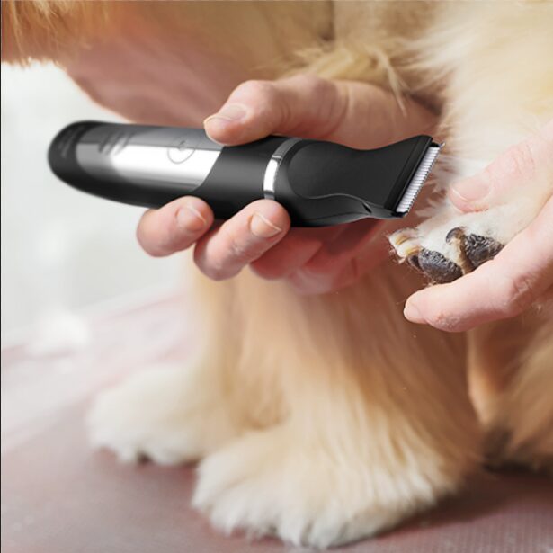 강아지 고양이 풋마스터 애견이발기/발톱다듬기 BCG-22