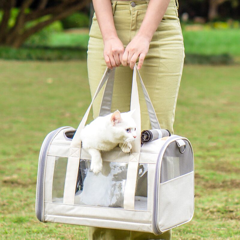 강아지 고양이 이동가방 튼튼 짱짱 기내용