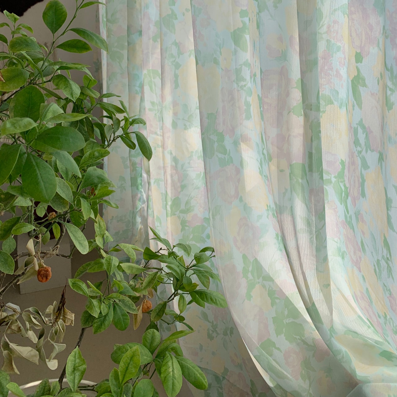 water lily curtain 빈티지 플라워 민트 쉬폰 커튼