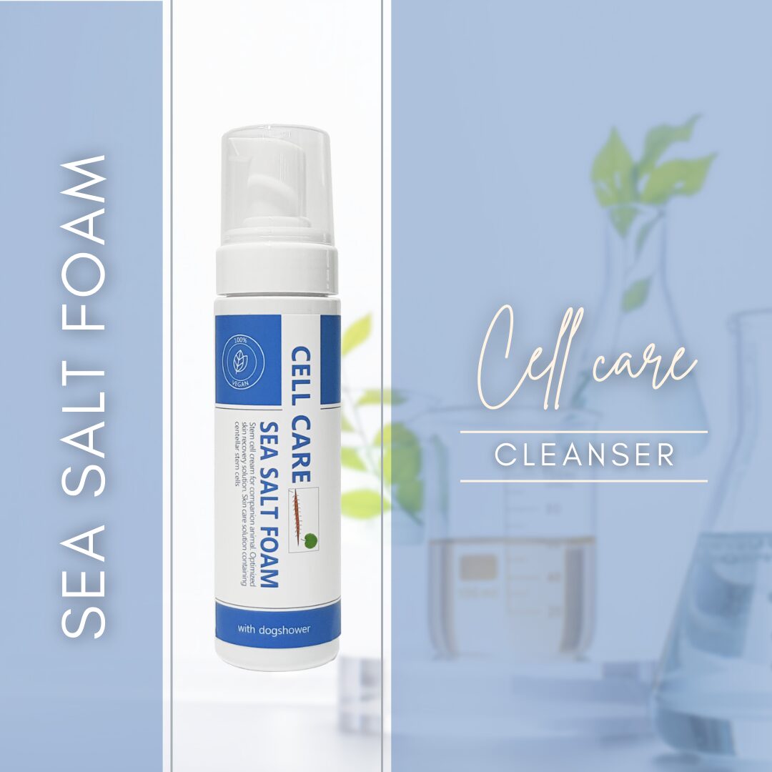 셀케어 씨솔트 폼 샴푸 200ml