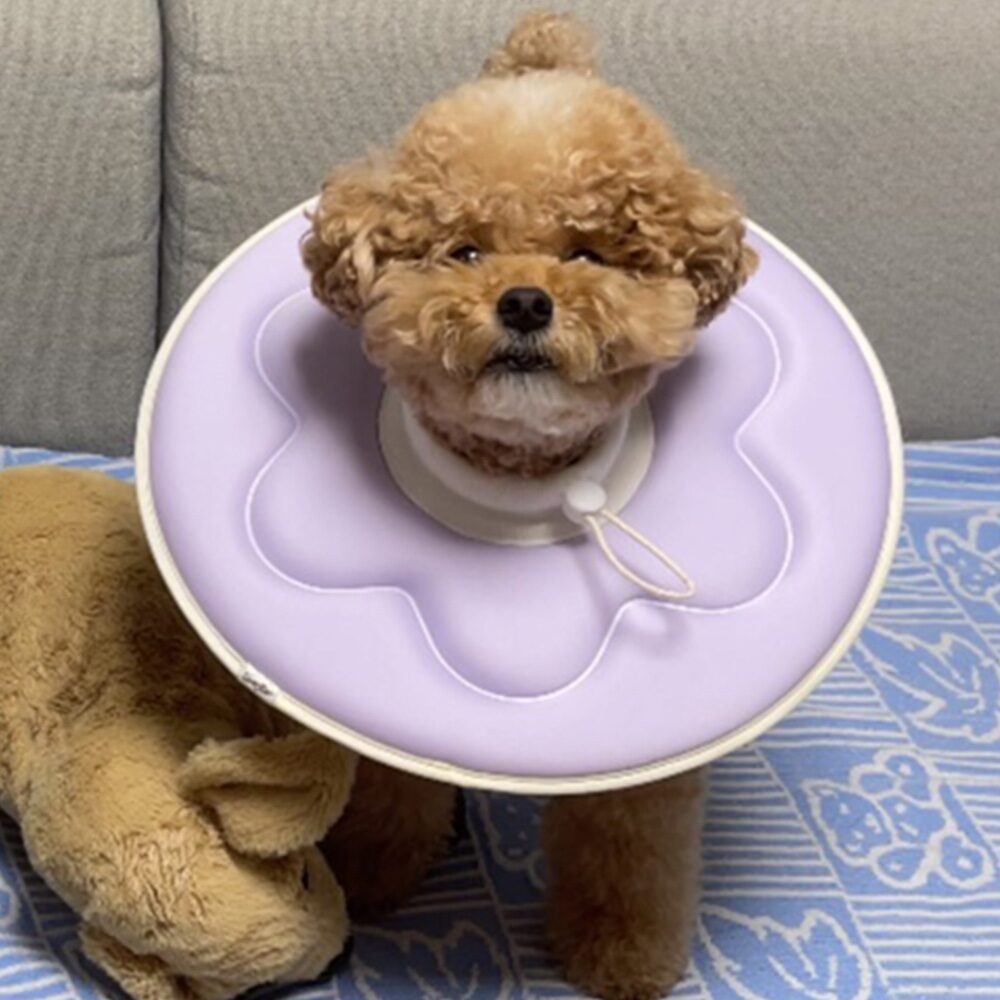 [리퍼]반반 초경량 강아지 고양이 넥카라