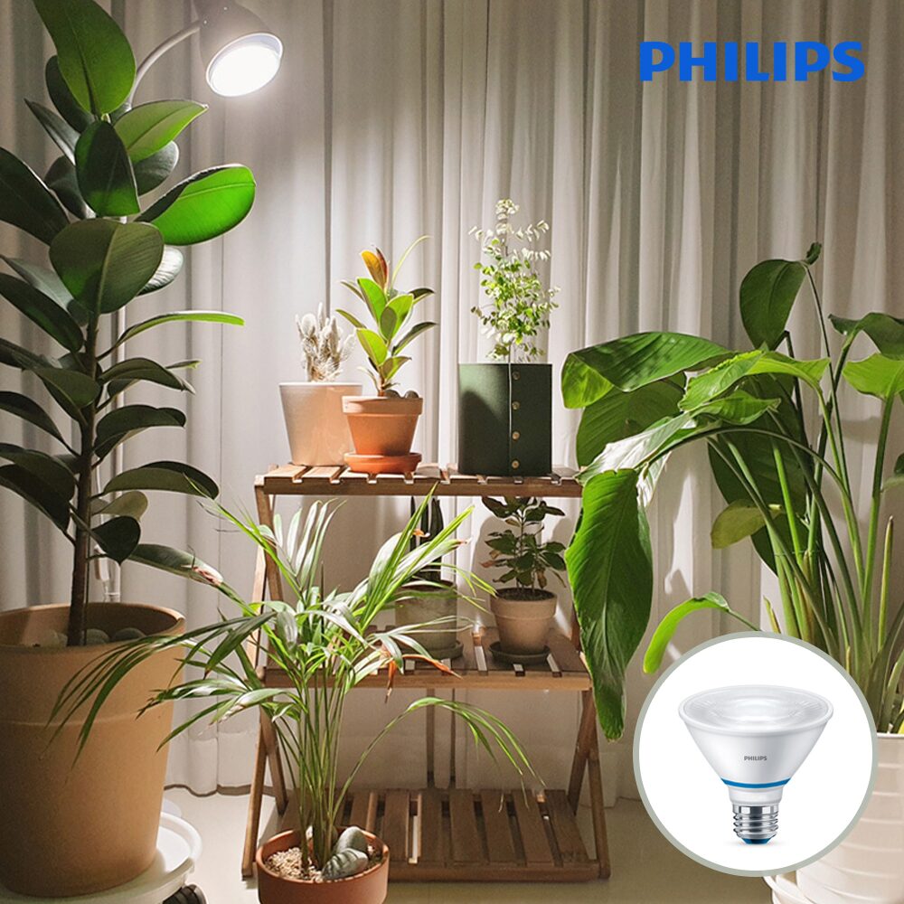 PHILIPS PAR30 스팟 LED 식물조명 식물등