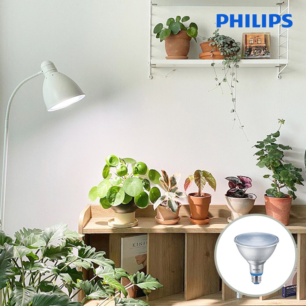 PHILIPS PAR38 LED 식물조명 식물등