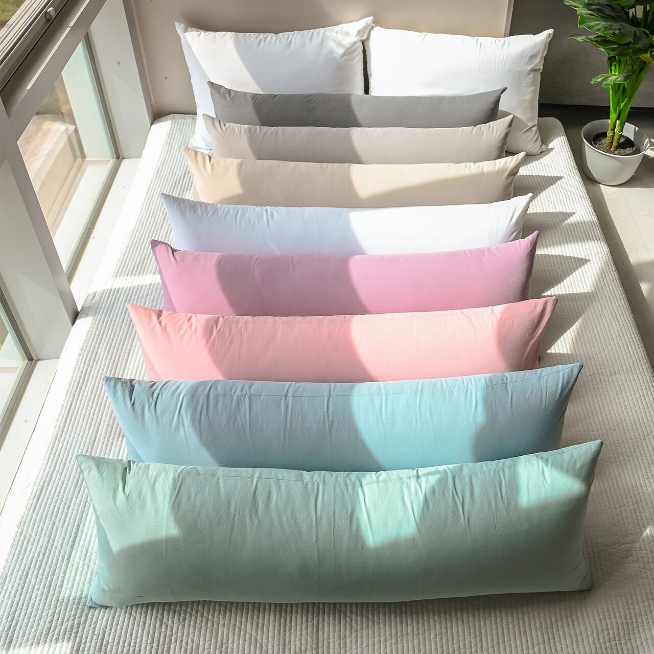 알러지케어 고밀도 바이오워싱 60수 에렌 사각 바디필로우 8colors, 4size