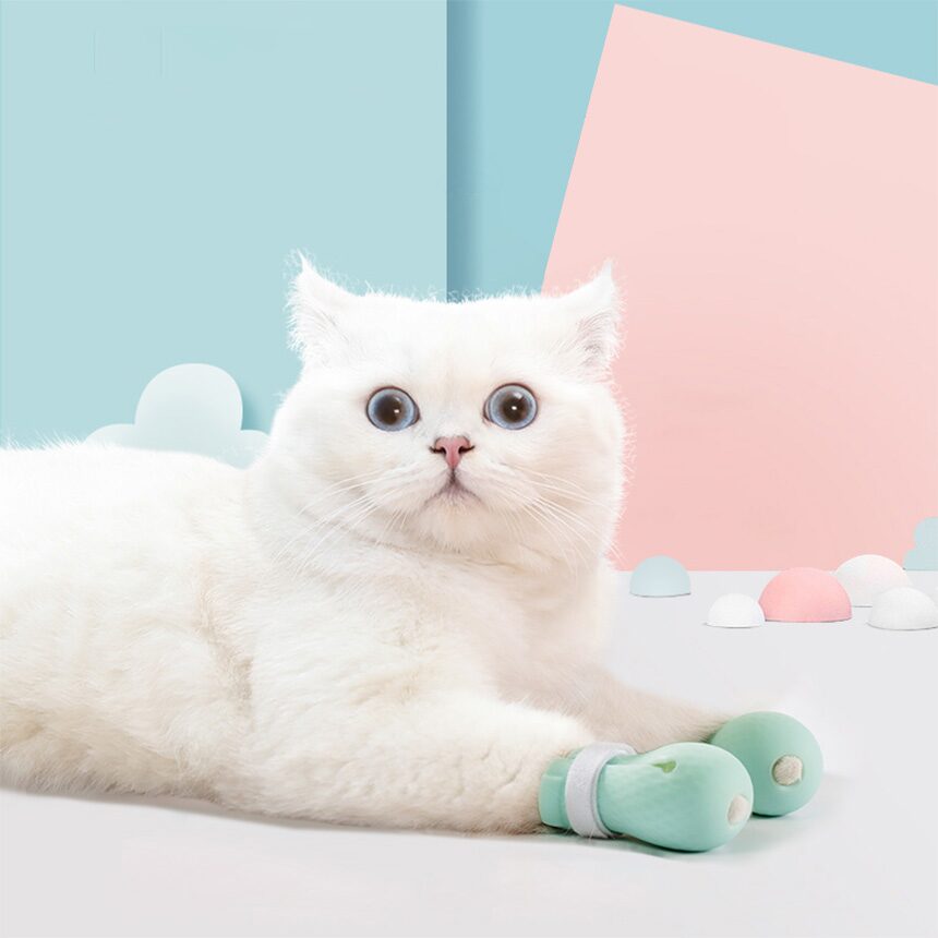 고양이 실리콘 할큄방지 목욕 신발 발톱 커버 미용 발톱캡