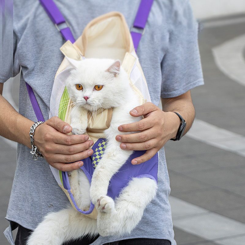 [해외] 고양이 강아지 슬링백 캥거루 이동가방 3colors 3size