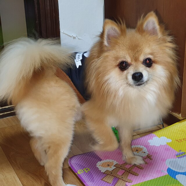 주니하니~♡♡님의 마이홈에 놀러오세요
