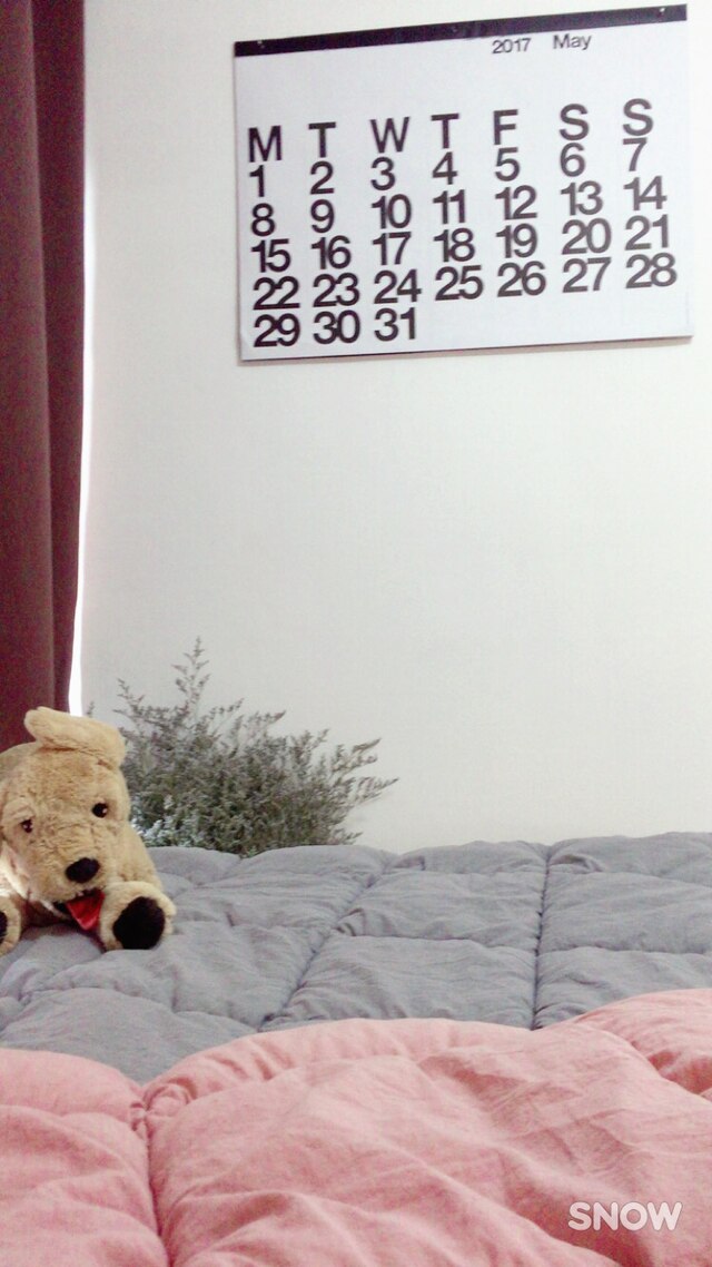찬이✨님의 인테리어 사진 | 오늘의집 유저들의 집꾸미기 찬이✨님의 인테리어 사진 | 오늘의집