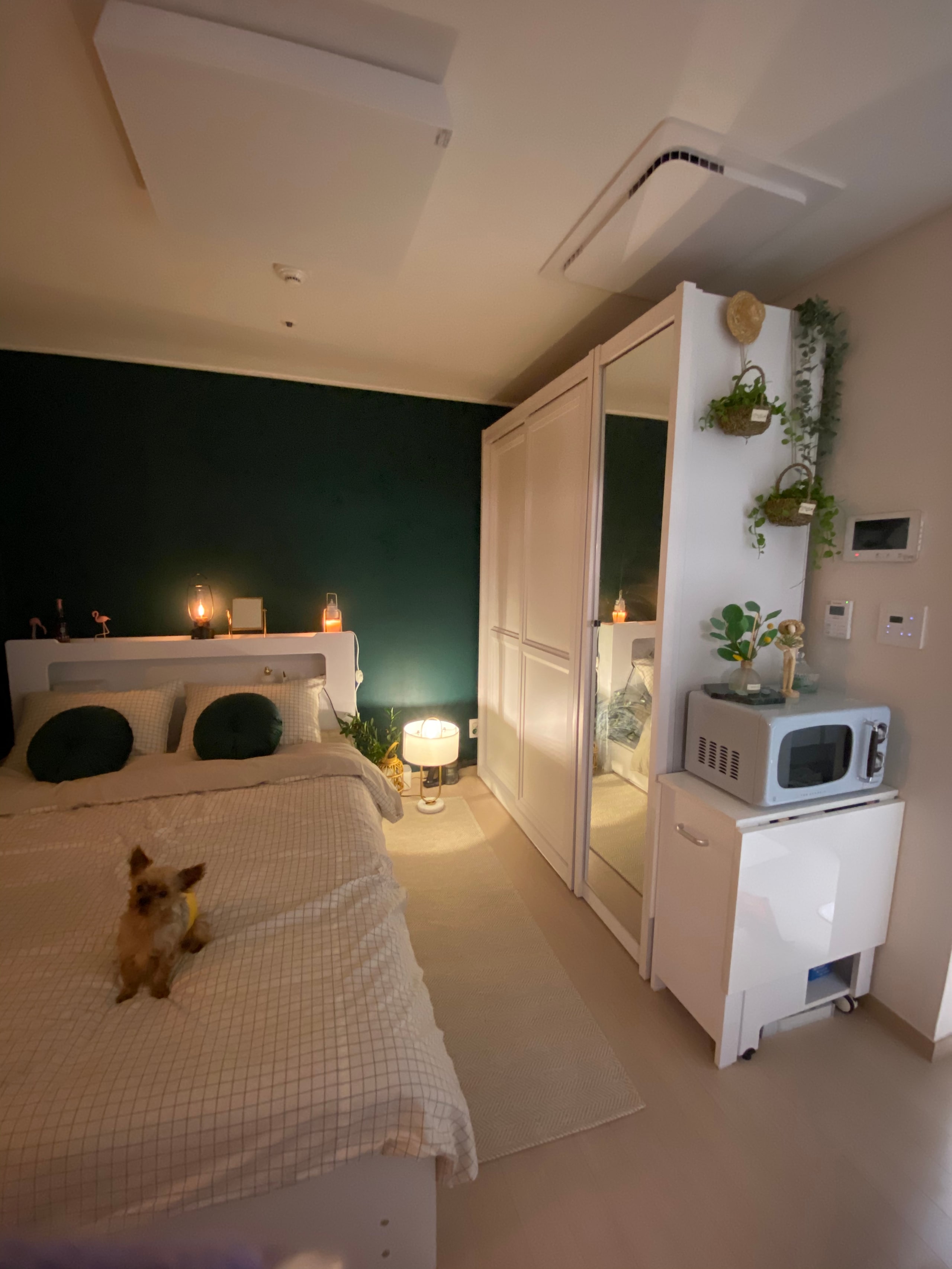 LED Lantern Speaker user photo